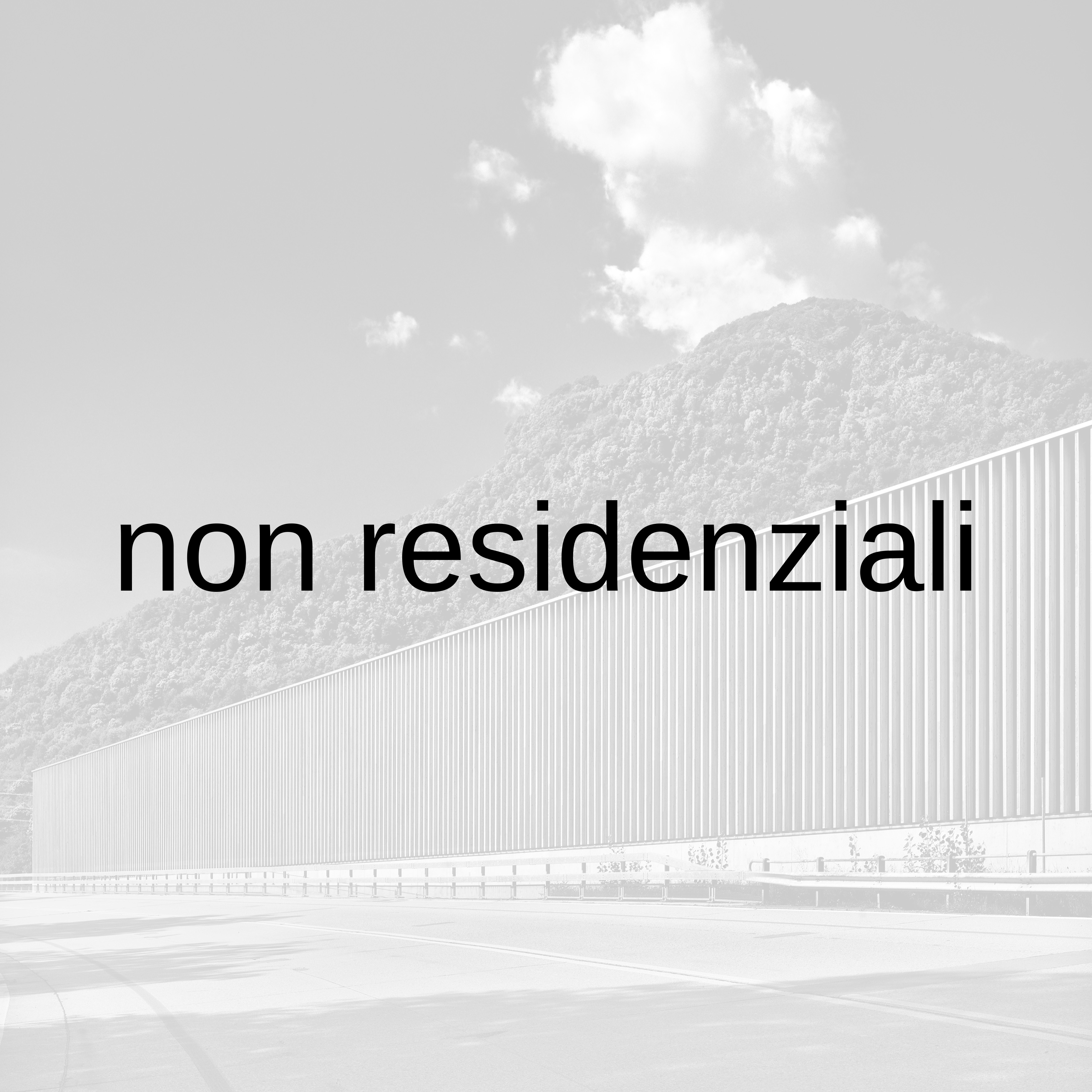 Luca Ferrario ©